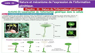 Localisation de linformation génétique dans la cellule 2 bac option francais شرح بالداريجة [upl. by Albertson]