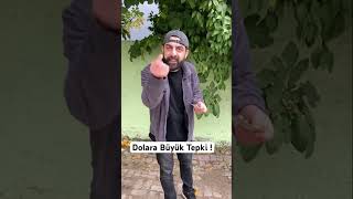 Amerika’nın Dolar Oyununu Bozdu [upl. by Irrehc]