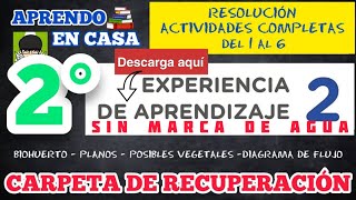 📐RESOLUCIÓN CARPETA DE RECUPERACION  EXPERIENCIA 2  2DO SECUNDARIA  COMPLETA ✏️ [upl. by Yecam278]