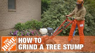 How To Grind A Tree Stump  The Home Depot [upl. by Pettit]