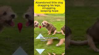 Abandoned little dog dragging his legs str shorts emotionalstory realstory story pets stories [upl. by Cassaundra427]