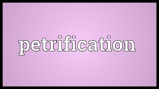 Petrification Meaning [upl. by Emelda]