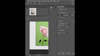 How to Resize an Image in Photoshop  Short Photoshop Tutorial [upl. by Karil488]