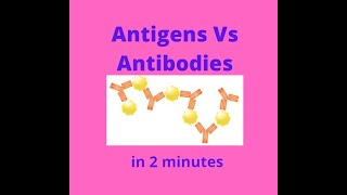 Antigens vs Antibodies in under 2 mins [upl. by Ailegna279]