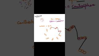 Centriole diagram explained neetbiology apbiology exam [upl. by Gisela]