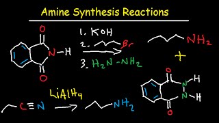 Amine Synthesis Reactions Organic Chemistry  Summary amp Practice Problems [upl. by Ecyaj]