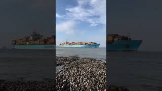 MAERSK LINE SHIP  Maersk Garonne Container Ship  Amazing Sea View shorts ytshorts [upl. by Arebma]