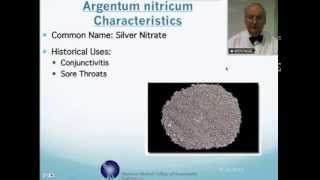 Argentum Nitricum Homeopathic Medicine Tips For Beginners [upl. by Terrene]