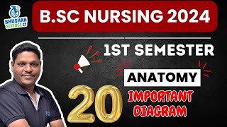 Anatomy का सभी Important Diagrams  इससे बाहर Exam में नहीं आएगा  BSc Nursing 1st SEM 2024 [upl. by Clougher]