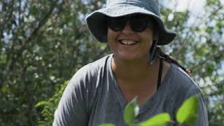 Working with Midewin National Tallgrass Prairie  25 years [upl. by Odnanreh]