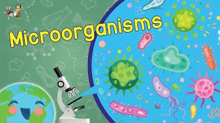 Microorganisms  What are Microorganisms Learning Videos For Kids [upl. by Eirret]