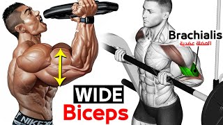 12 BEST Exercises for WIDER BICEPS [upl. by Lambart]