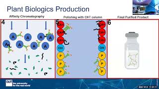 BEST amp CAB Workshop  Transient Protein Production in the Plant Nicotiana Benthamiana [upl. by Nnire593]