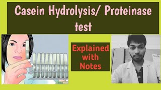 Casein hydrolysis testProteinase testMicrobiologyRohit Shankar ManeScientistracademy [upl. by Brottman]