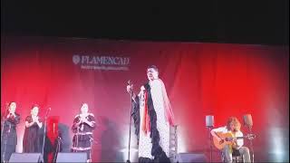 Remedios Amaya rememora Eurovisión en Flamencad  Cádiz 2024 [upl. by Prinz267]