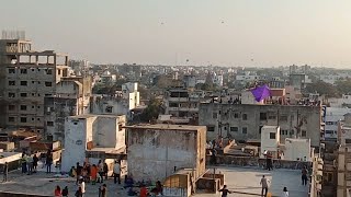 Kite Festival At Vadodara [upl. by Wain187]