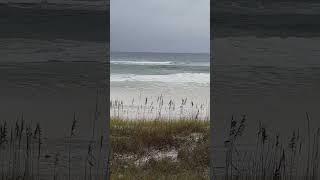 Destin Florida big waves before the hurricane [upl. by Hsirrehc]