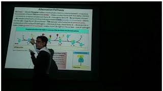 Alternative Pathway of Complement Activation Complement system Part4 [upl. by Niarfe]