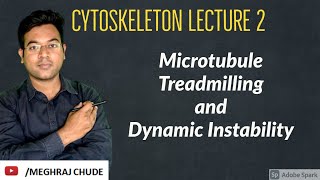 Cytoskeleton Part 2 Microtubule TreadmillingDynamic Instability [upl. by Theadora]