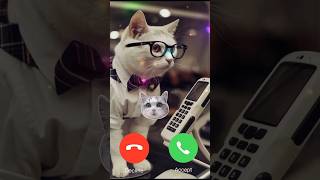 Cute white color cat Calling Me 🔥 stylist cute cat short catcalling ringtone [upl. by Debee]