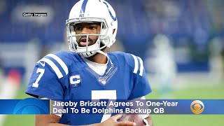 Jacoby Brissett Agrees To OneYear Deal To Be Dolphins Backup QB [upl. by Adrian]