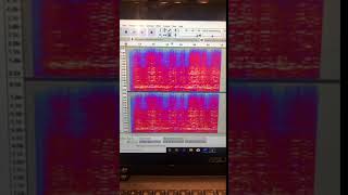 Audacity Spectrogram [upl. by Dore]