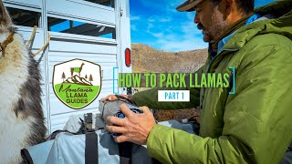 HOW TO PACK LLAMAS PART 1 [upl. by Kumler119]