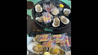 Apalachicola Provided Oysters and Several Rivers [upl. by Fronia]