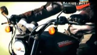 HARLEYDAVIDSON XR1200 Sportster the fastest air cooled Harley ever made Review [upl. by Iznek996]