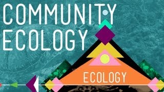 Community Ecology Feel the Love  Crash Course Ecology 4 [upl. by Alliuqat]