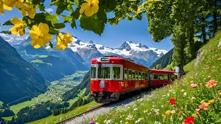 World’s Most Scenic Train Journey in Switzerland  Schynige Platte  Top of Swiss Tradition [upl. by Nylzaj]