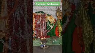 Moharam habba song moharamstatus [upl. by Hartmann982]