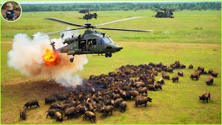 How Do Hunters And American Farmers Deal With Millions Of Wild Boars By Helicopter and Trap [upl. by Breskin]