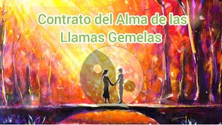 Contrato del Alma de las Llamas Gemelas 💖✨ [upl. by Matias]