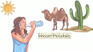 ABIOTISCHER FAKTOR WASSER  EINFLUSS AUF TIERE  Biologie  Ökologie [upl. by Endora]