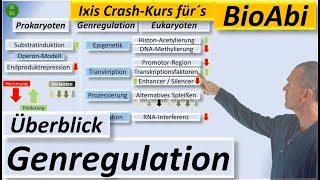 Überblick zur Genregulation bei Prokaryoten und Eukaryoten [upl. by Alburg]