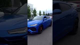 Lamborghini Urus🔥 Insane Luxury SUV Performance  You Won’t Believe This lambo shorts viralvideo [upl. by Aryan]