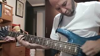 Enjambre  Dulce soledad  Bass cover [upl. by Mapes]