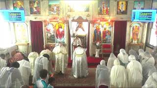 Medhanie Alem Ethiopian Orthodox Tewahedo Church KC Live Stream [upl. by Zednanreh]