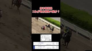 【低予算競馬】2番人気の先行馬がまさかの最後方という地方競馬の闇を見ましたwww [upl. by Fremont]