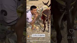 Puneet Joginder Ne Tatti Kha Li😂😂🤣 shortsfeed shorts funny explore [upl. by Enilorak]