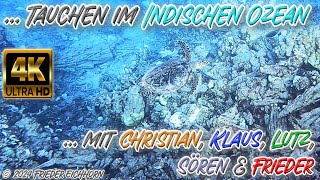 Tauchen im Indischen Ozean 🐢 🐬 🐡 … [upl. by Yemac490]