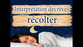 Interprétation et signification du rêve récolter  signification rêves  dictionnaire des reves [upl. by Brittni]