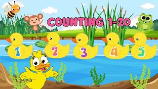 Counting 1 to 20 with Little Ducks  Fun Duck Counting Song for Kids [upl. by Hayse232]