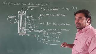 construction and working of Calomel electrode advantages and disadvantages of calomel electrode [upl. by Jerold]