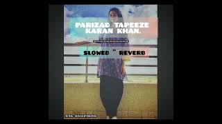 Parizad tapeeze  karan khan  Pashtu song  Tiktok song [upl. by Mingche]