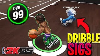 The Best Dribble DRIBBLE MOVES On Playground Basketball [upl. by Avitzur350]