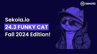 Sekoiaio 243 FUNKY CAT Fall 2024 Edition [upl. by Heger]