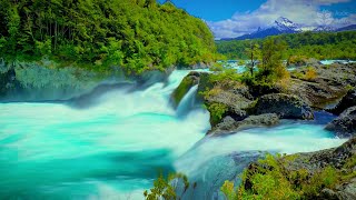 Majestic Turquoise River Sounds 🌊  10 Hours of Mountain Serenity [upl. by Alyat]