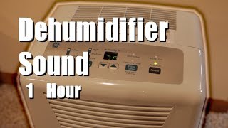 Dehumidifier Sound 1 Hour White Noise [upl. by Anneh]